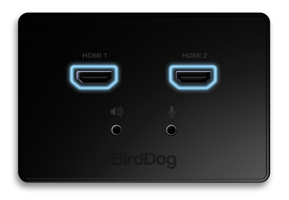 BirdDog Wallplate Dual Output -black