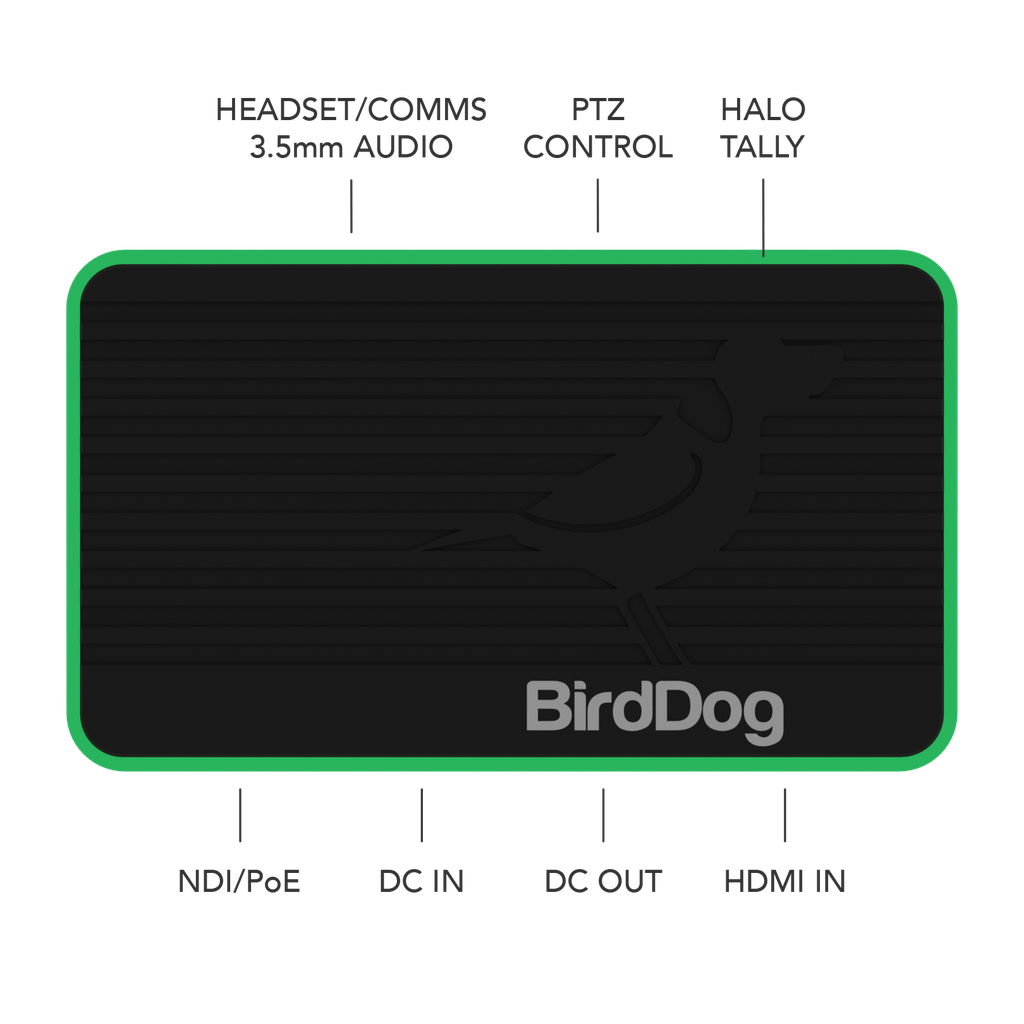 BirdDog Flex 4K IN - legend