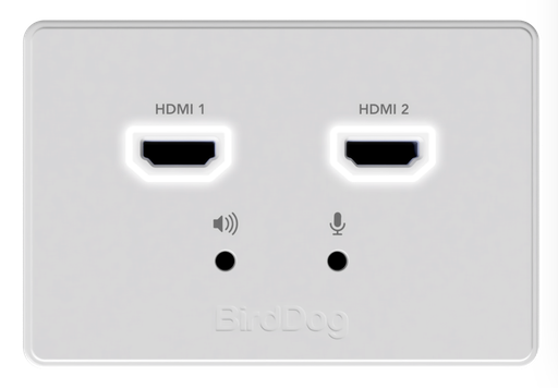 [BD-WPIN] BirdDog Wallplate Dual Input