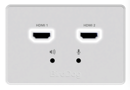 [BD-WPOUT] BirdDog Wallplate Dual Output